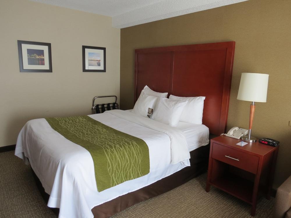 Comfort Inn Dartmouth Buitenkant foto