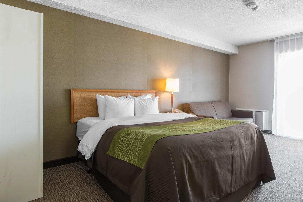Comfort Inn Dartmouth Buitenkant foto